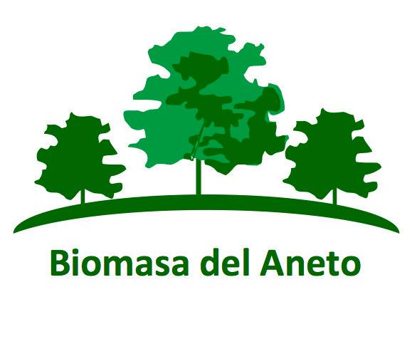 BIOMASA DEL ANETO SL